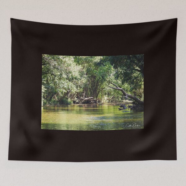 Item preview, Promise Lands Swimming Hole designed and sold by CathsImages.