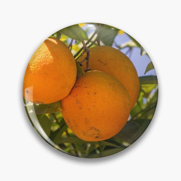Item preview, Oranges in the Grove designed and sold by Ian Christopher.