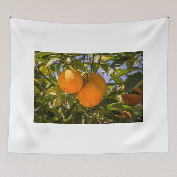 Item preview, Oranges in the Grove designed and sold by Ian Christopher.