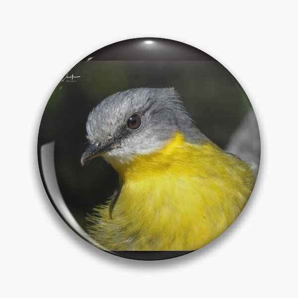 Item preview, Eastern Yellow Robin designed and sold by CathsImages.