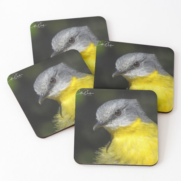 Item preview, Eastern Yellow Robin designed and sold by CathsImages.