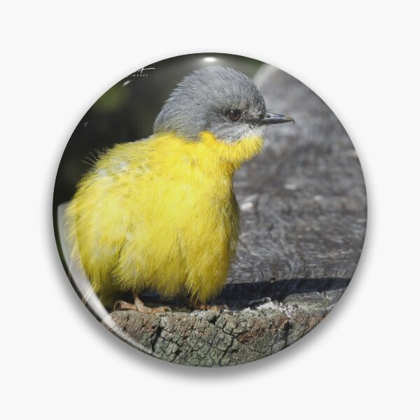Item preview, Eastern Yellow Robin designed and sold by CathsImages.
