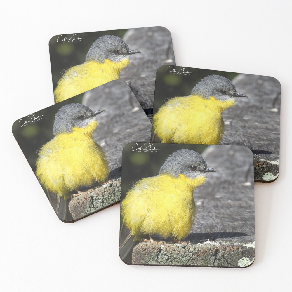 Item preview, Coasters (Set of 4) designed and sold by CathsImages.