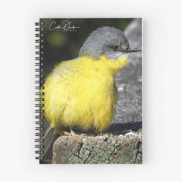 Item preview, Eastern Yellow Robin designed and sold by CathsImages.