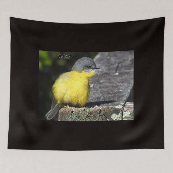 Item preview, Eastern Yellow Robin designed and sold by CathsImages.