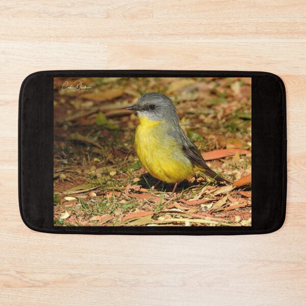 Item preview, Eastern Yellow Robin designed and sold by CathsImages.