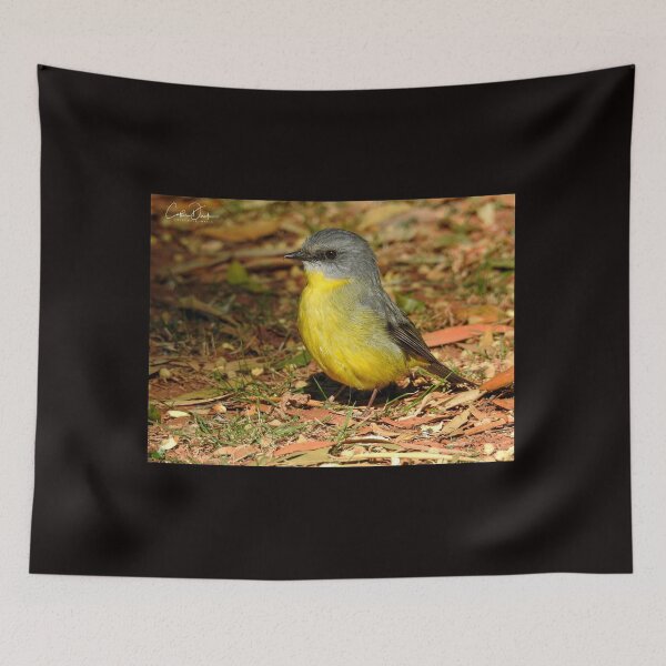 Item preview, Eastern Yellow Robin designed and sold by CathsImages.