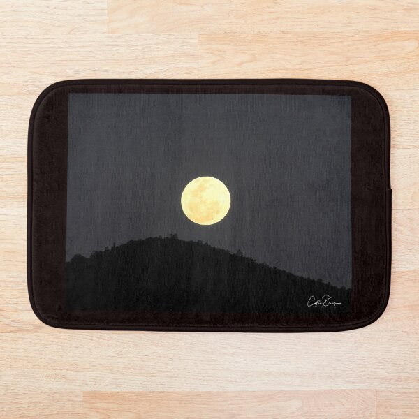 Aperçu de l'œuvre Lueur de lune créée et vendue par CathsImages.