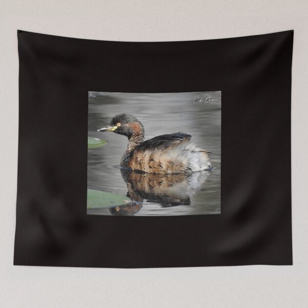 Item preview, Australasian Glebe designed and sold by CathsImages.