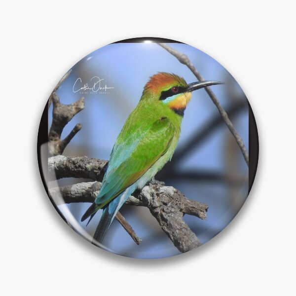 Item preview, Rainbow Bee Eater designed and sold by CathsImages.