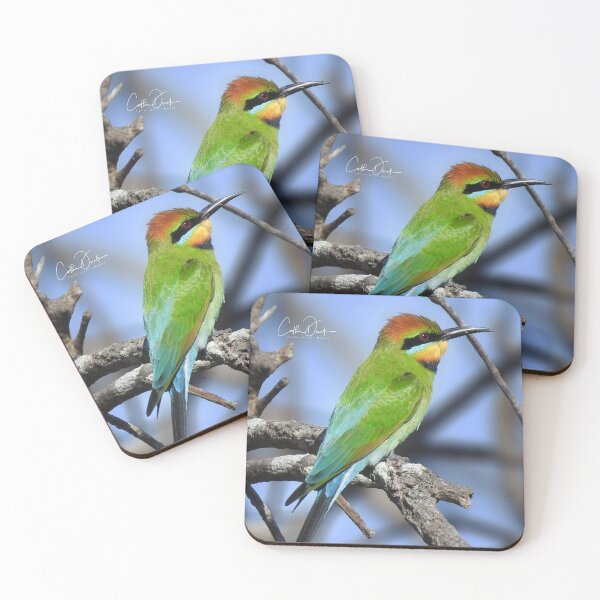 Item preview, Rainbow Bee Eater designed and sold by CathsImages.