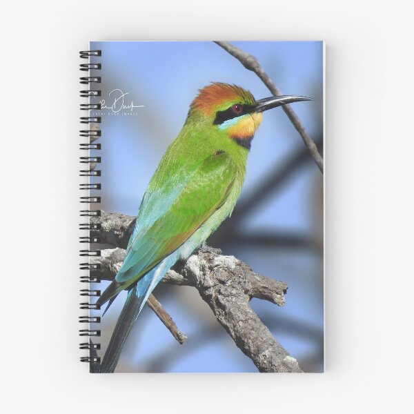 Item preview, Rainbow Bee Eater designed and sold by CathsImages.