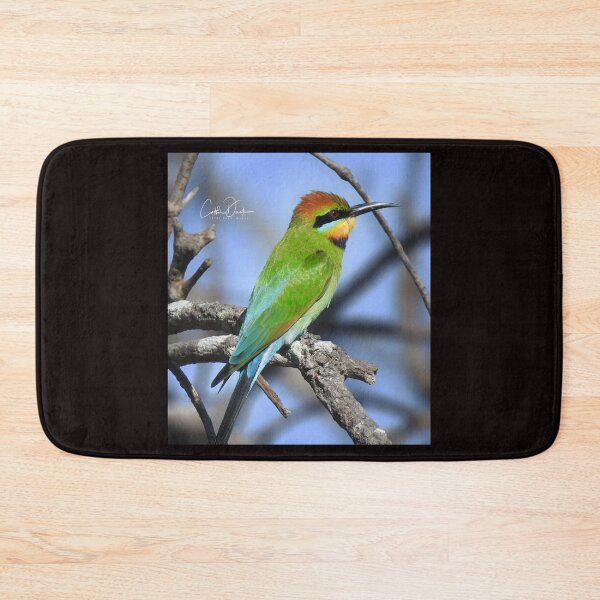 Item preview, Rainbow Bee Eater designed and sold by CathsImages.