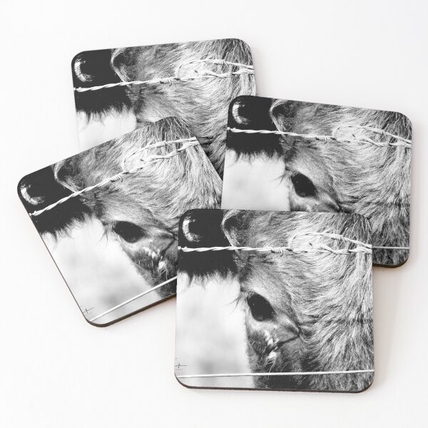 Item preview, Watching you through the fence designed and sold by CathsImages.