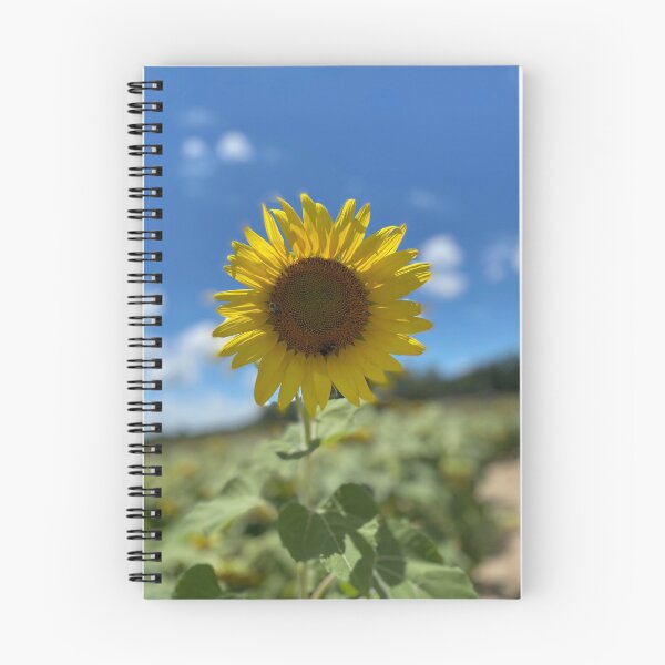 Item preview, Sunflower Spotlight designed and sold by MMaeDesigns.