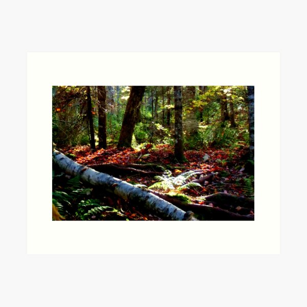 Item preview, The Red Forest designed and sold by Kathleen Daley.