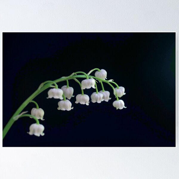 Item preview, Mum's Favourite designed and sold by Clare Colins.