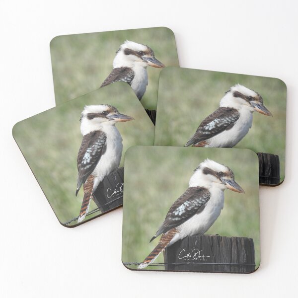 Item preview, Australian Kookaburra designed and sold by CathsImages.