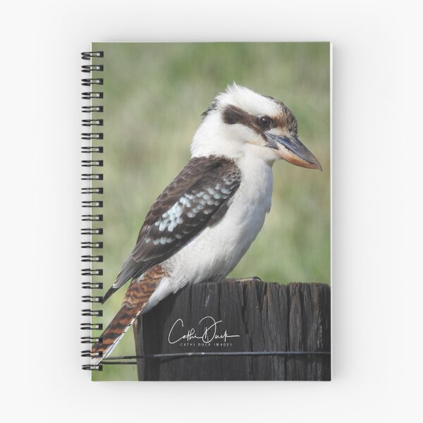 Item preview, Australian Kookaburra designed and sold by CathsImages.