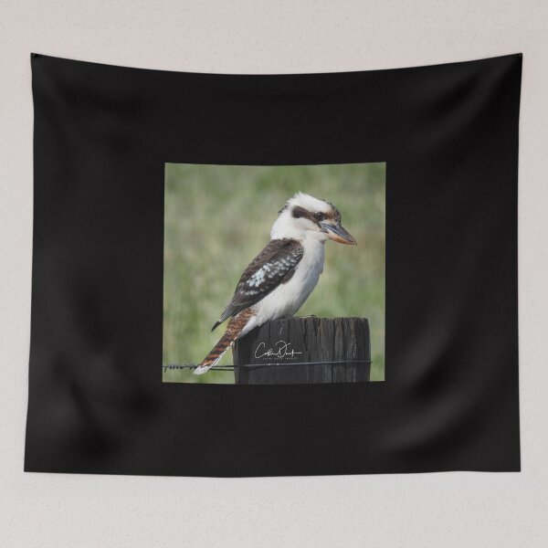 Item preview, Australian Kookaburra designed and sold by CathsImages.