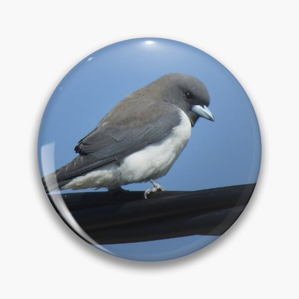Item preview, White Breasted Woodswallow designed and sold by CathsImages.