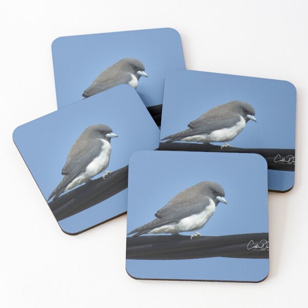 Item preview, White Breasted Woodswallow designed and sold by CathsImages.
