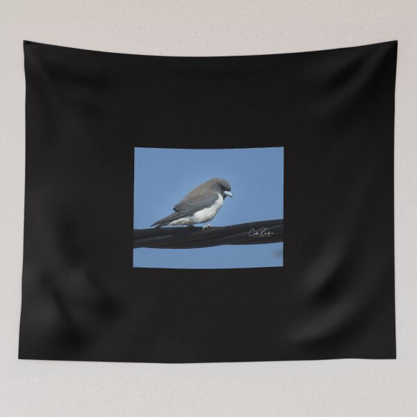 Item preview, White Breasted Woodswallow designed and sold by CathsImages.