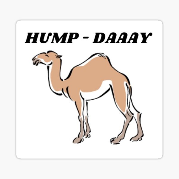 Hump Day Sticker