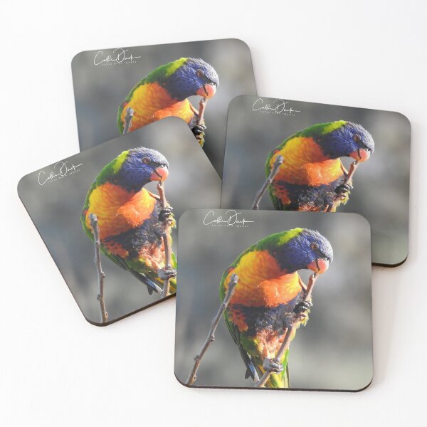 Item preview, Darn seed..got stuck in between my beak designed and sold by CathsImages.