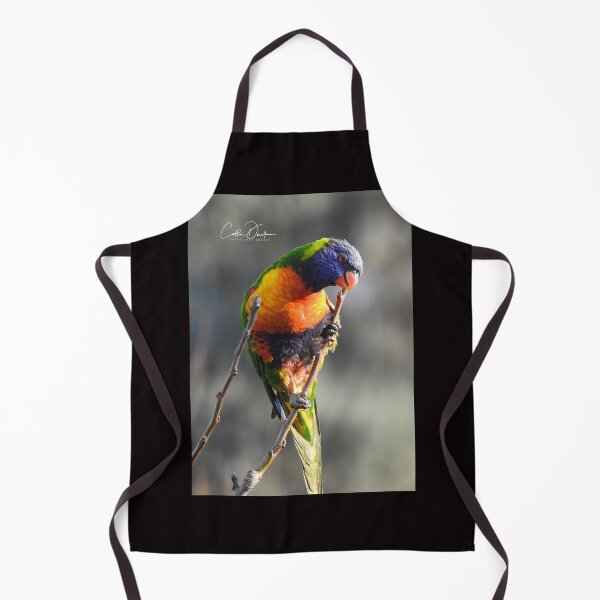 Item preview, Darn seed..got stuck in between my beak designed and sold by CathsImages.