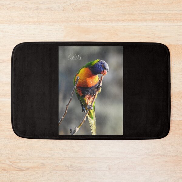 Item preview, Darn seed..got stuck in between my beak designed and sold by CathsImages.