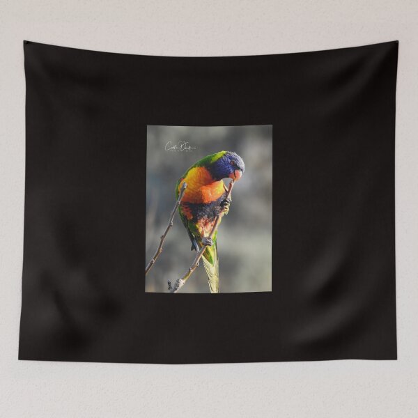 Item preview, Darn seed..got stuck in between my beak designed and sold by CathsImages.