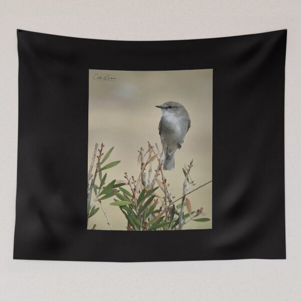 Item preview, Jacky Winter designed and sold by CathsImages.