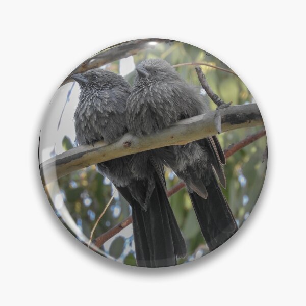 Item preview, Apostle Birds designed and sold by CathsImages.