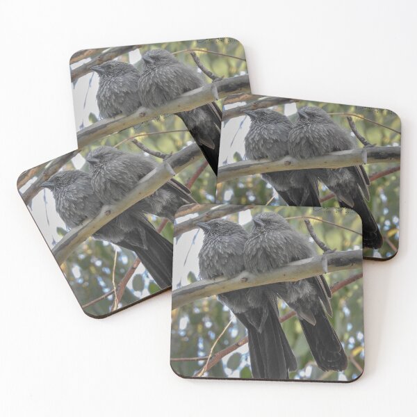 Item preview, Apostle Birds designed and sold by CathsImages.