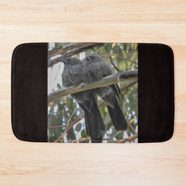 Item preview, Apostle Birds designed and sold by CathsImages.