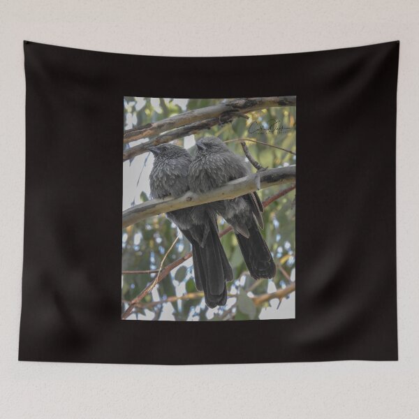 Item preview, Apostle Birds designed and sold by CathsImages.