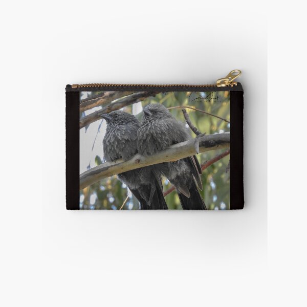 Item preview, Apostle Birds designed and sold by CathsImages.