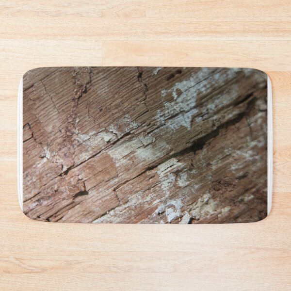 Item preview, Stripped Treebark texture photo designed and sold by HappyThoughts85.