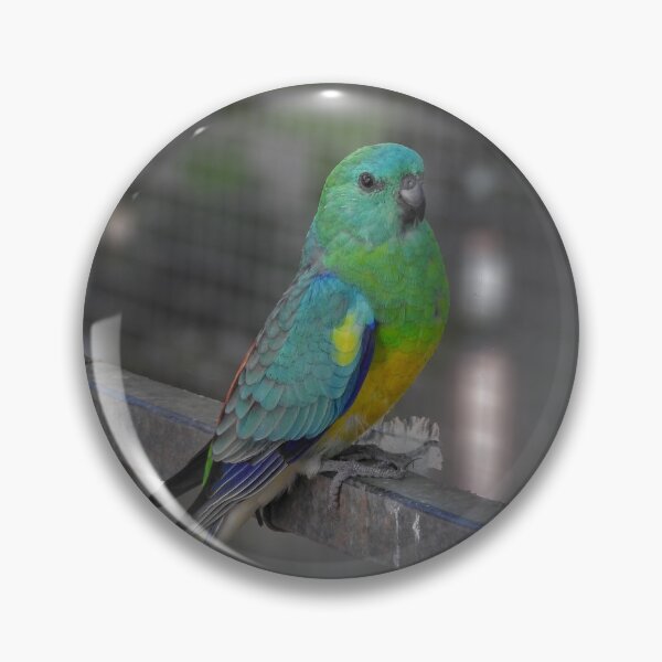 Item preview, Red Rumped Parrot designed and sold by CathsImages.