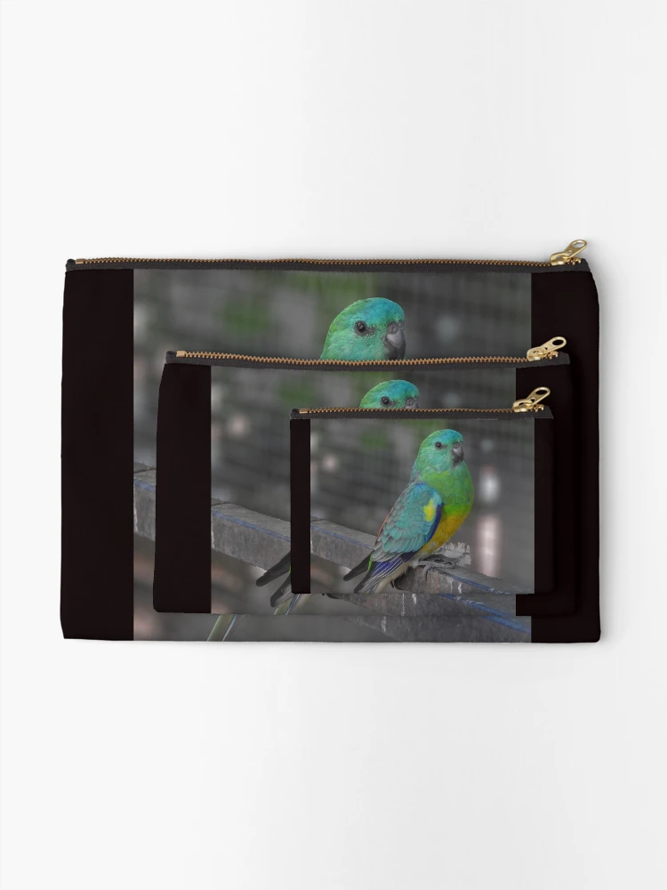 Thumbnail 2 of 4, Zipper Pouch, Red Rumped Parrot designed and sold by CathsImages.