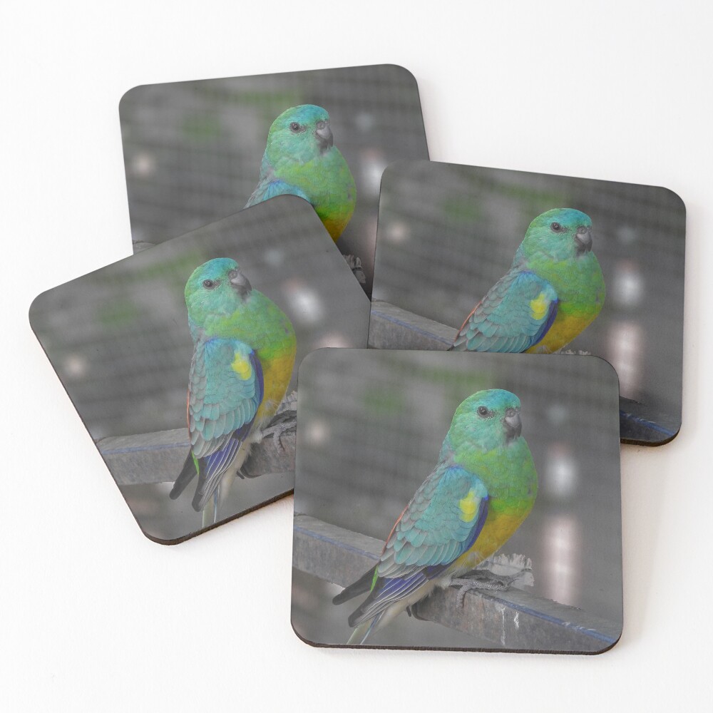 Item preview, Coasters (Set of 4) designed and sold by CathsImages.