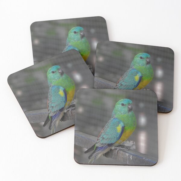 Item preview, Red Rumped Parrot designed and sold by CathsImages.