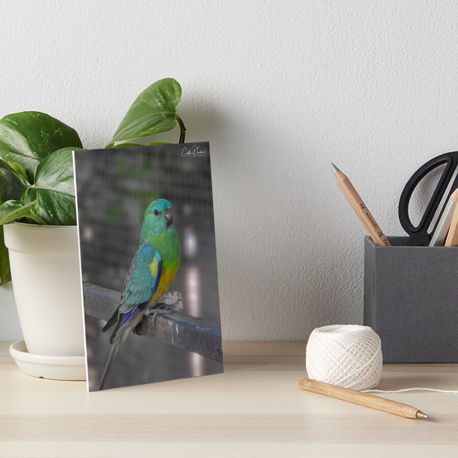 Item preview, Art Board Print designed and sold by CathsImages.