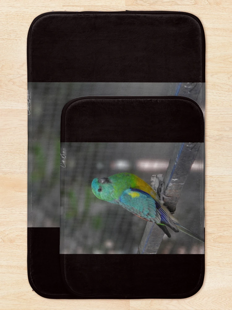 Thumbnail 5 of 6, Bath Mat, Red Rumped Parrot designed and sold by CathsImages.
