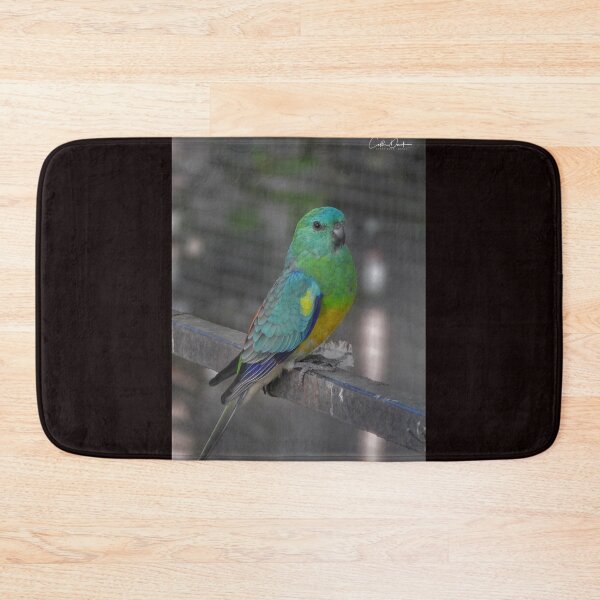 Item preview, Red Rumped Parrot designed and sold by CathsImages.