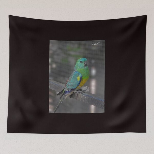Item preview, Red Rumped Parrot designed and sold by CathsImages.