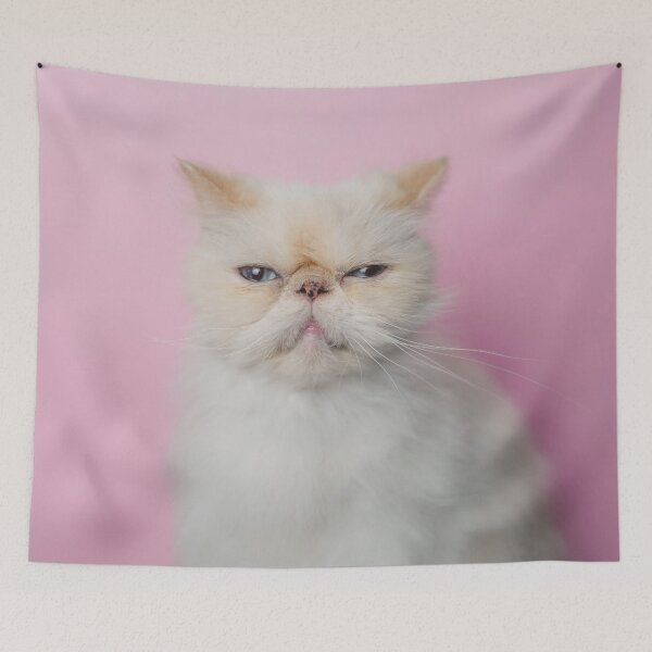 Item preview, Lord Aries Cat designed and sold by anafrancisconi.
