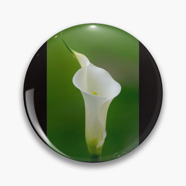 Item preview, Calla Lily designed and sold by CathsImages.