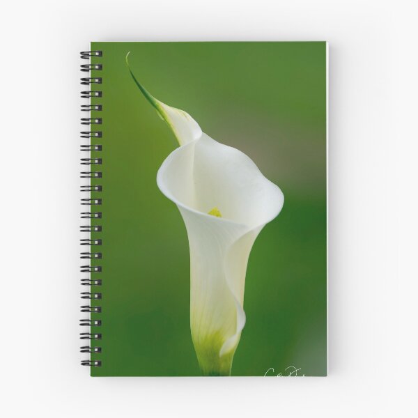 Item preview, Calla Lily designed and sold by CathsImages.